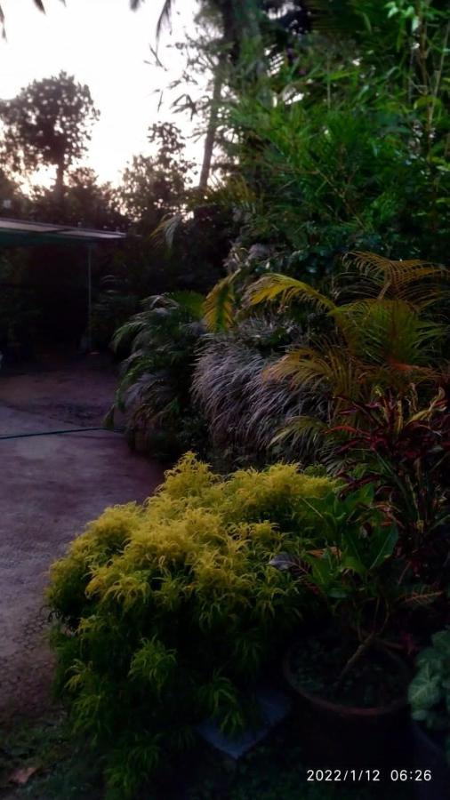 Fab Valley Homestay Munnar Exterior photo