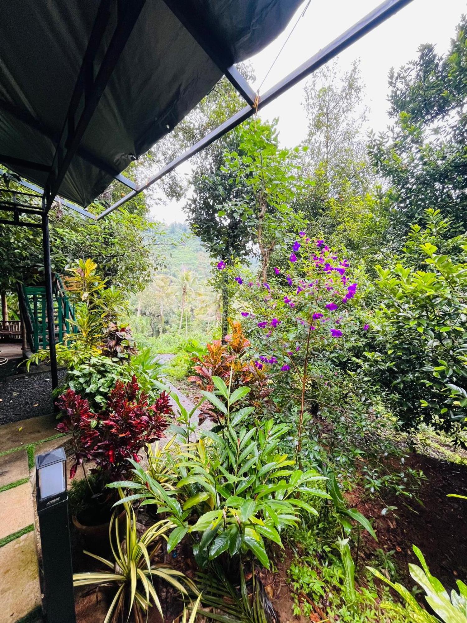 Fab Valley Homestay Munnar Exterior photo